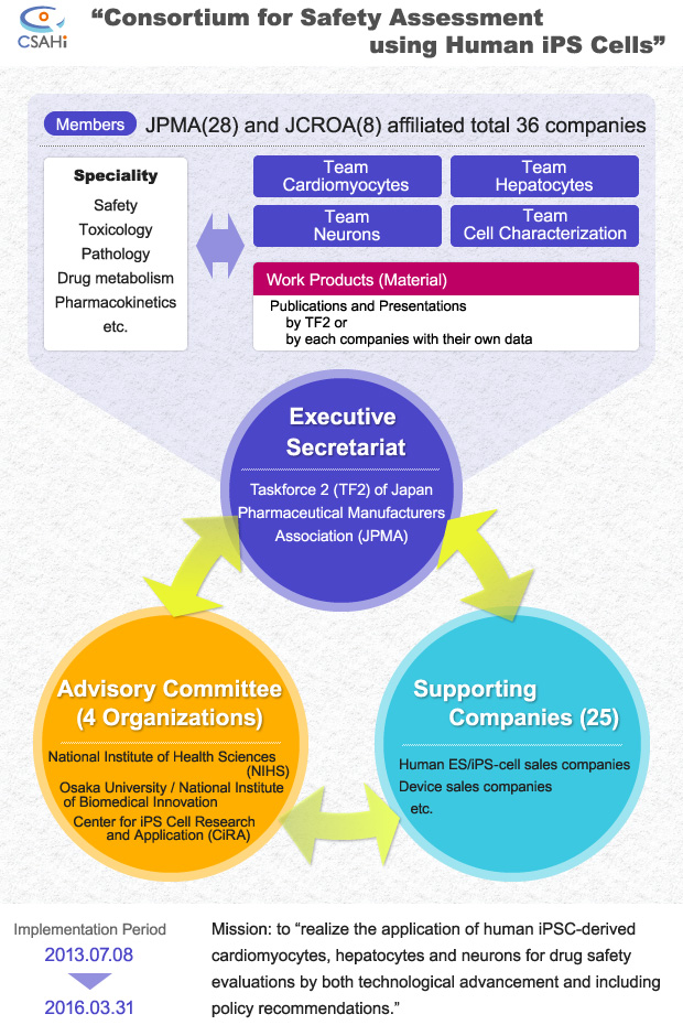 Organizational structure
