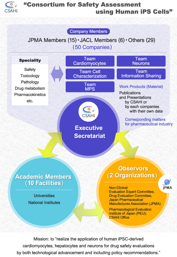 Organizational structure