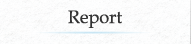 Report
