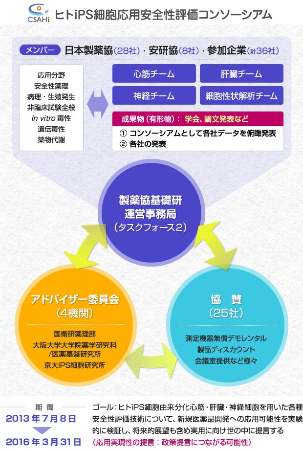 組織構造
