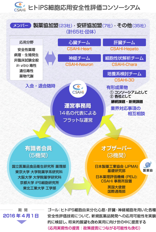 組織構造