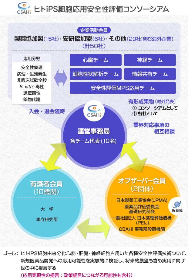 組織構造